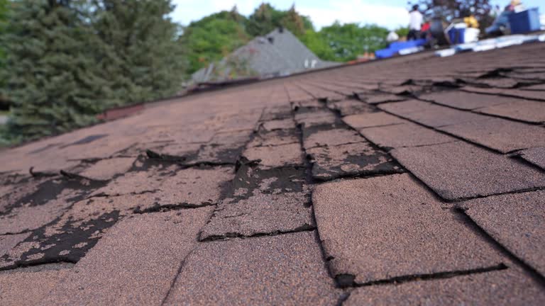 Best Storm Damage Roof Repair  in Homestead Valley, CA