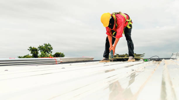 Best Steel Roofing  in Homestead Valley, CA