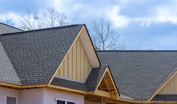 Best Roof Ventilation Installation  in Homestead Valley, CA